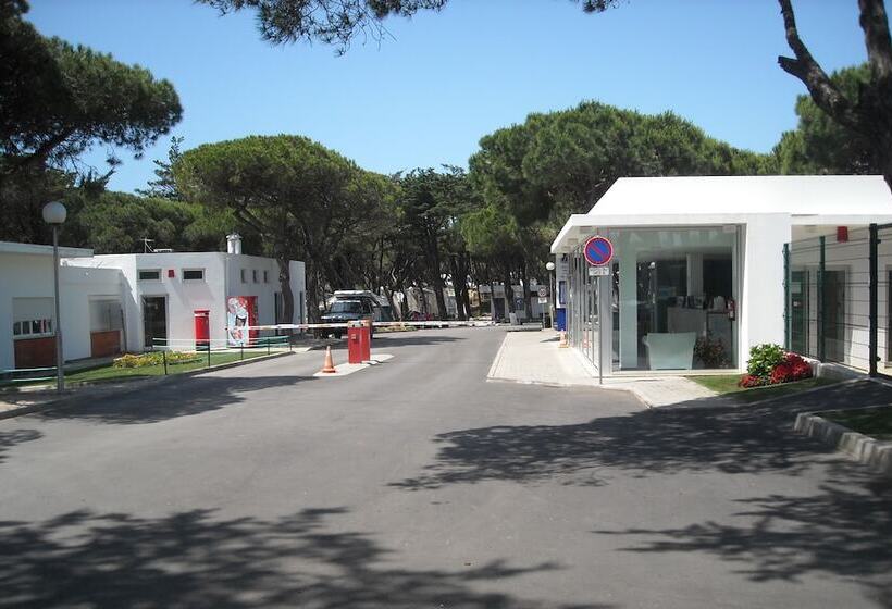 Fotos del hotel Parque De Campismo Orbitur Guincho:  14