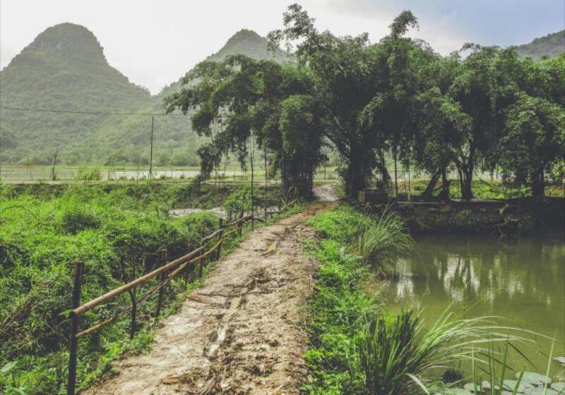 Fotos del hotel Tam Coc Rice Fields Resort:  17