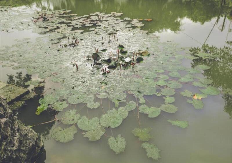 Fotos del hotel Tam Coc Rice Fields Resort:  13