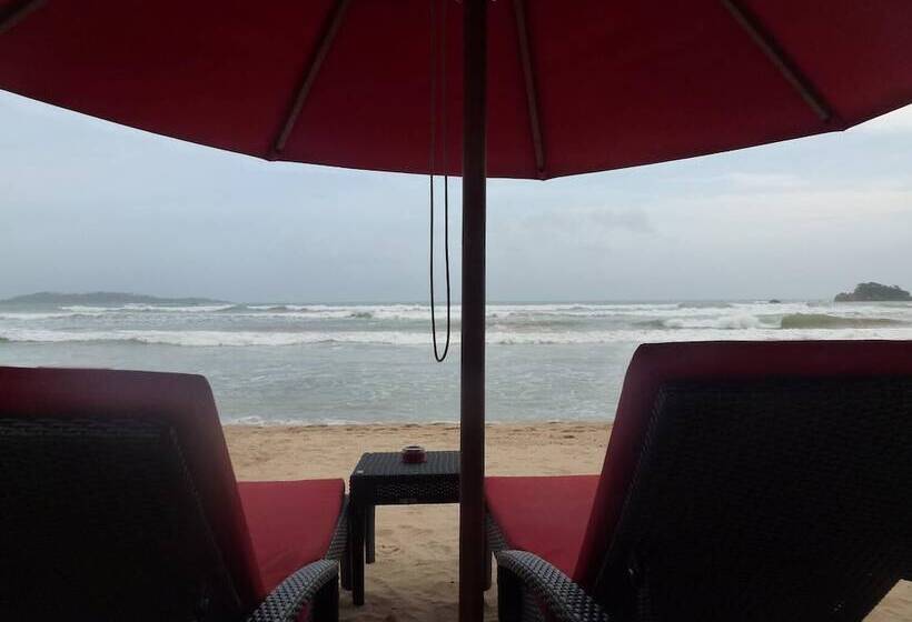 Fotos del hotel Samaru Beach House:  11