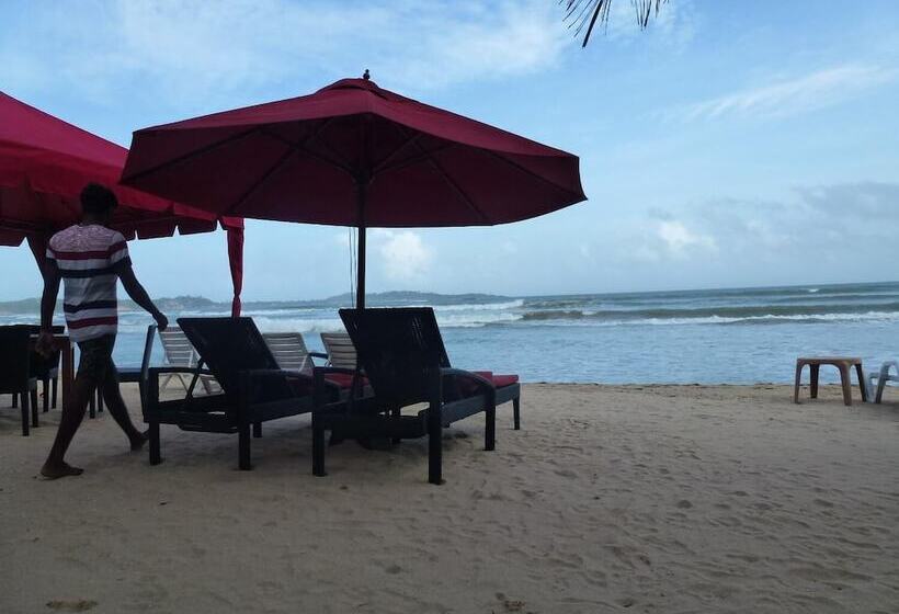 Fotos del hotel Samaru Beach House:  13