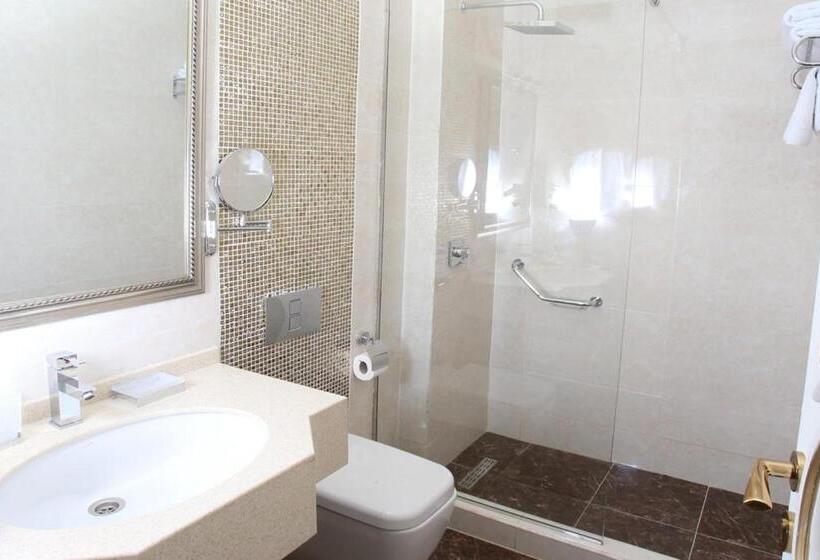 Fotos del hotel Opera:  8