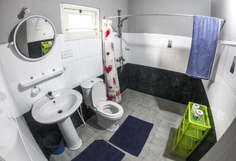 Fotos del hotel Apollo:  8