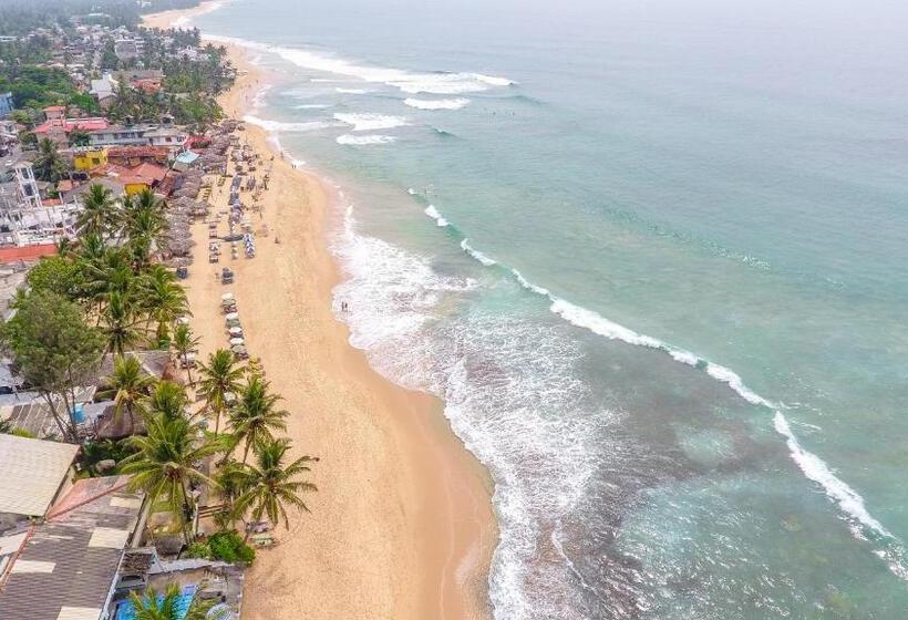 Fotos del hotel Apollo:  9