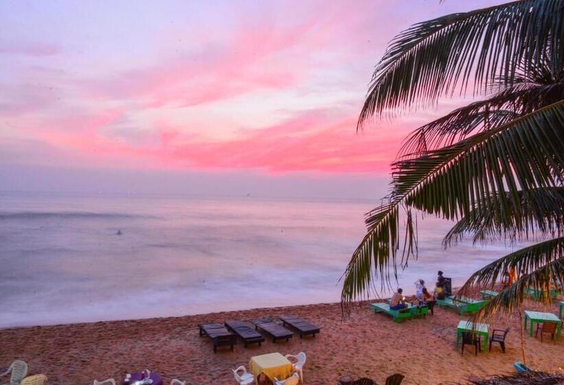 Fotos del hotel Apollo:  6