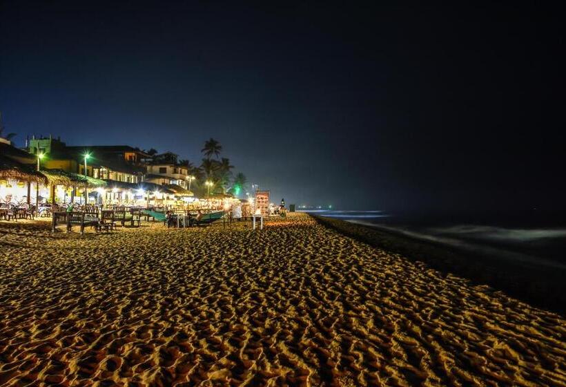 Fotos del hotel Apollo:  3