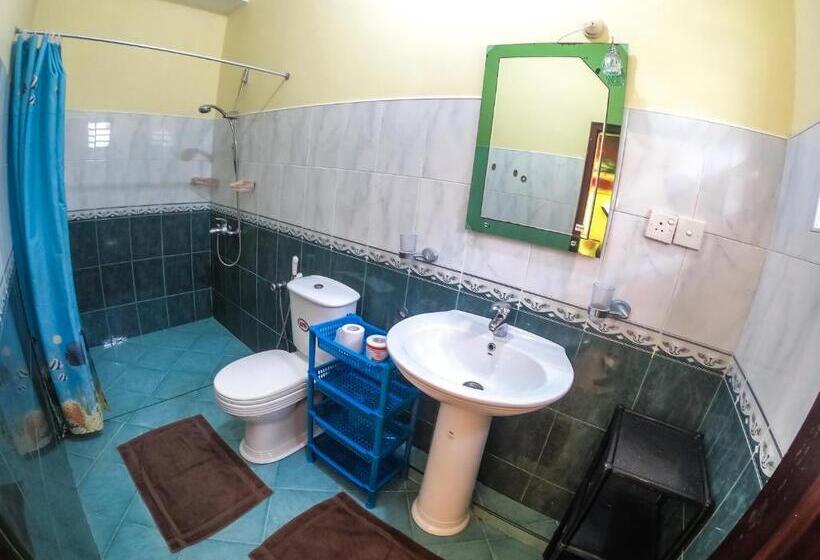 Fotos del hotel Apollo:  5