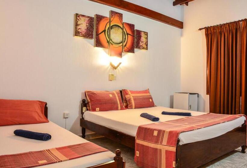 Fotos del hotel Apollo:  18