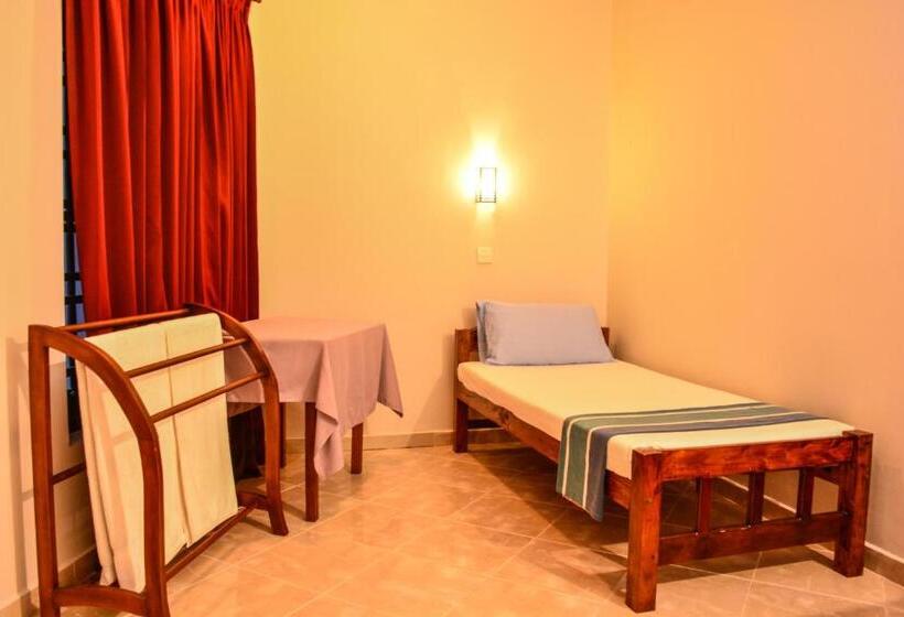 Fotos del hotel Apollo:  4