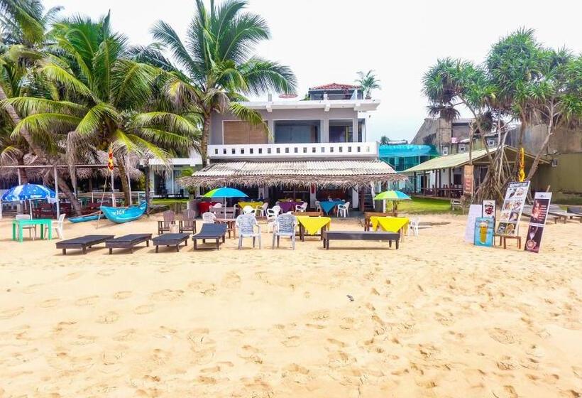 Fotos del hotel Apollo:  17