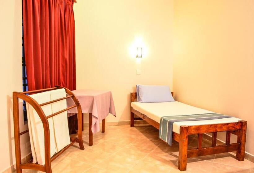 Fotos del hotel Apollo:  20