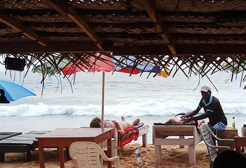 Fotos del hotel Apollo:  13