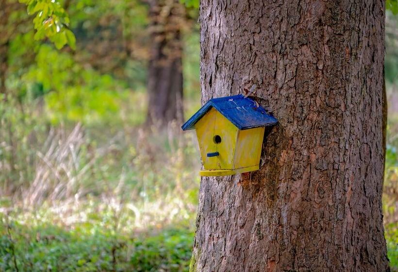 Fotos del hotel Heritage Hotel Krone:  7