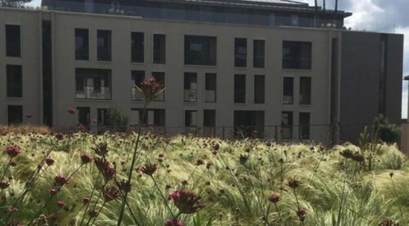 Fotos del hotel Villa Maïa:  25