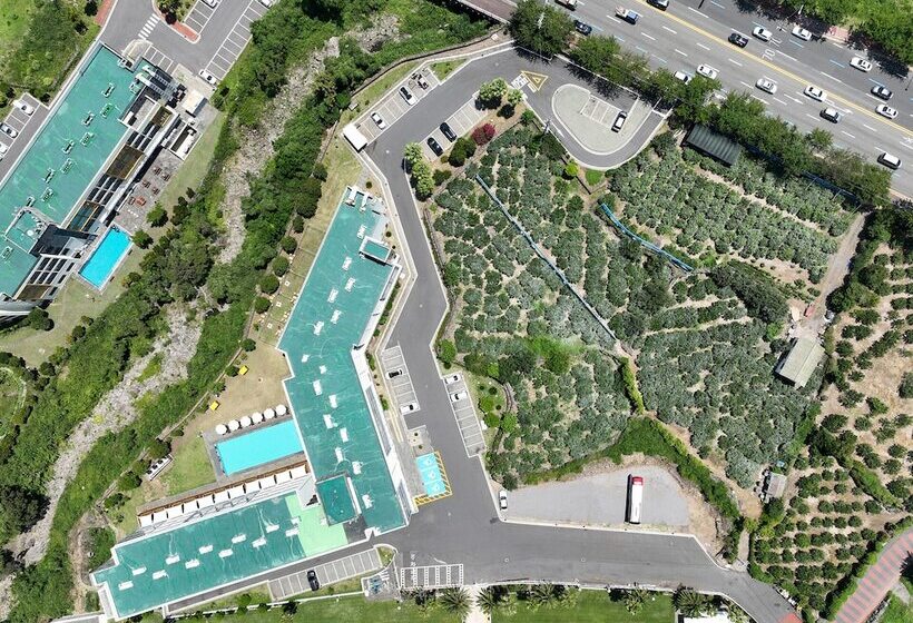 Fotos del hotel Jeju Shangrila:  25