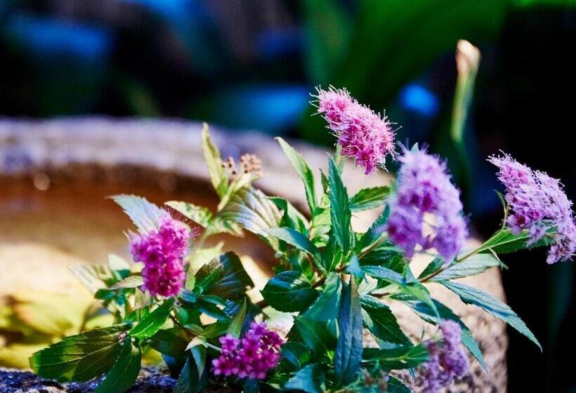 Fotos del hotel Sunrise Suites:  9