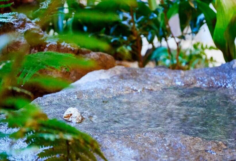 Fotos del hotel Sunrise Suites:  14