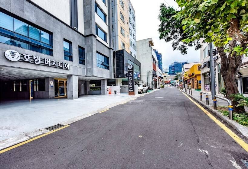 Fotos del hotel Virginia:  21