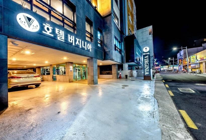 Fotos del hotel Virginia:  18