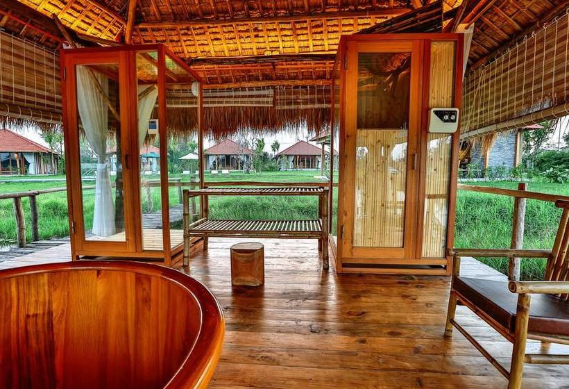 Fotos del hotel Allamanda Estate:  25