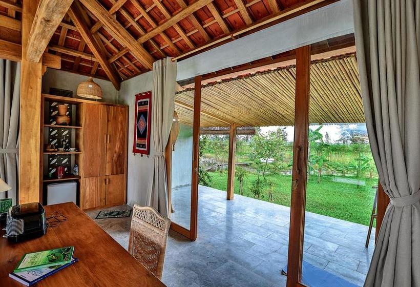 Fotos del hotel Allamanda Estate:  13