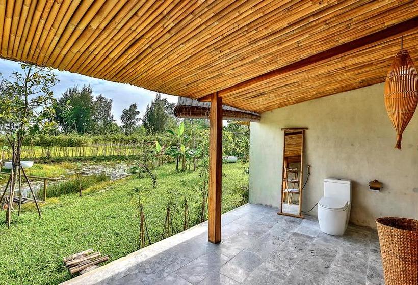 Fotos del hotel Allamanda Estate:  14