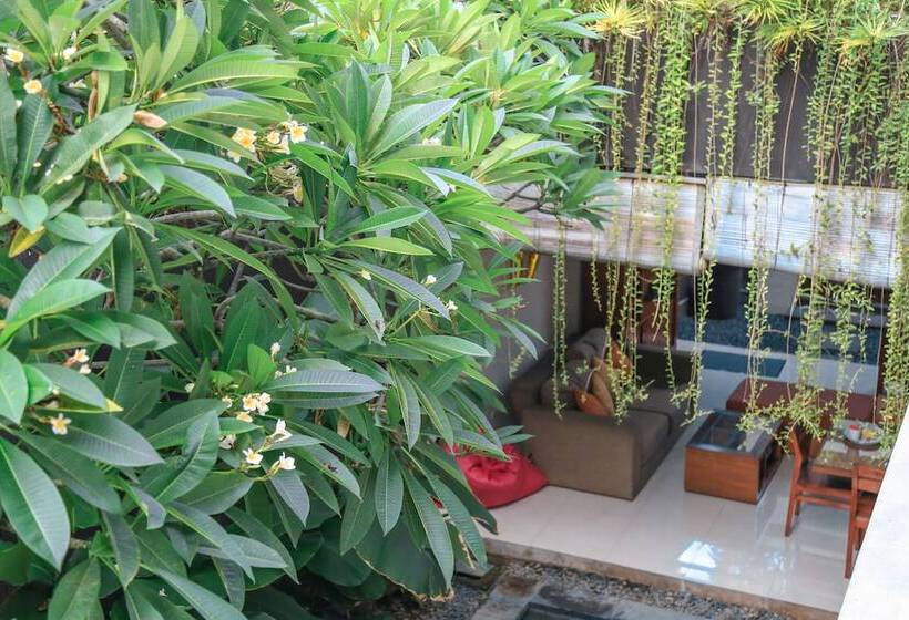 Fotos del hotel Alia Home:  20