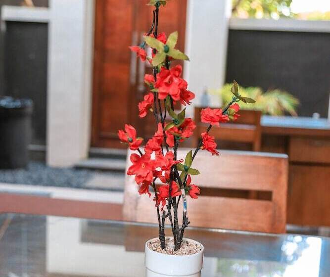 Fotos del hotel Alia Home:  16