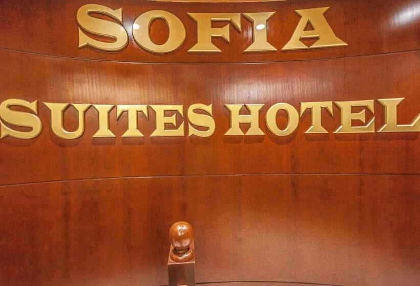Fotos del hotel Sofia Suites:  8
