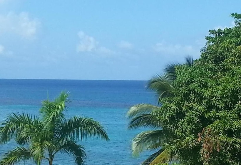 Fotos del hotel Marine View:  8