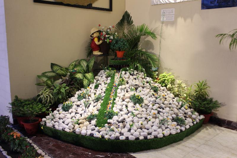 Fotos del hotel The Golden Apple:  7