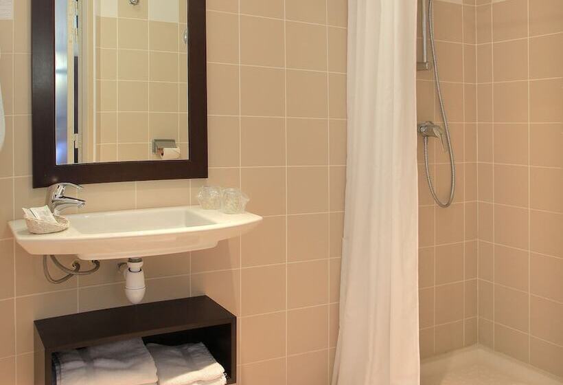 Fotos del hotel Grand Hôtel De La Basilique:  7