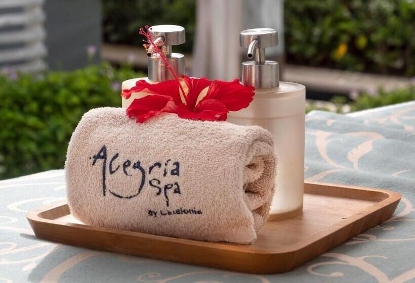 Fotos del hotel Catalonia Royal La Romana - Adults Only - All Inclusive:  49