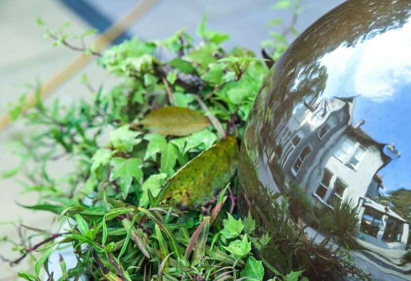 Fotos del hotel Derby Manor:  6