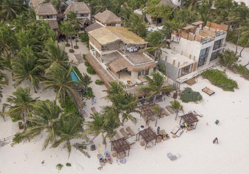 Fotos del hotel Dune Boutique  Located At The Party Zone:  12