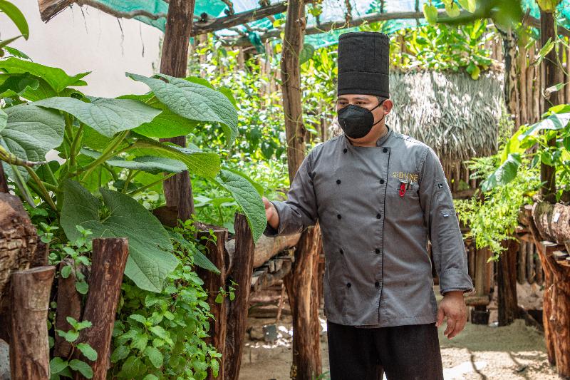 Fotos del hotel Dune Boutique  Located At The Party Zone:  11