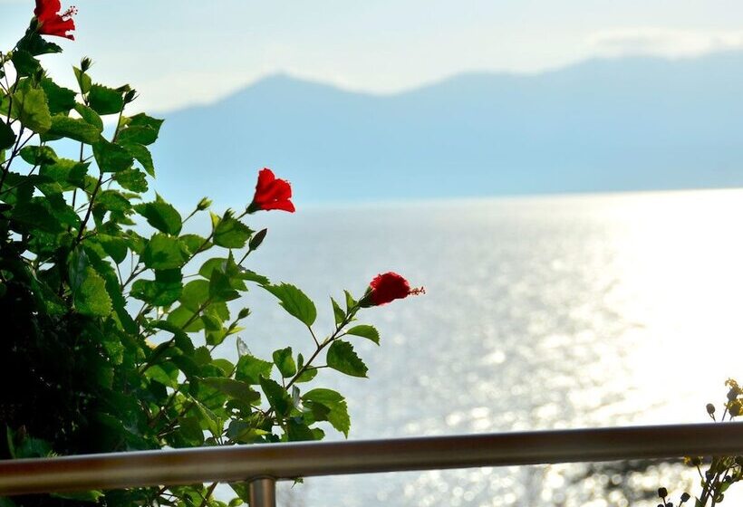 Fotos del hotel Ibusuki Iwasaki:  9