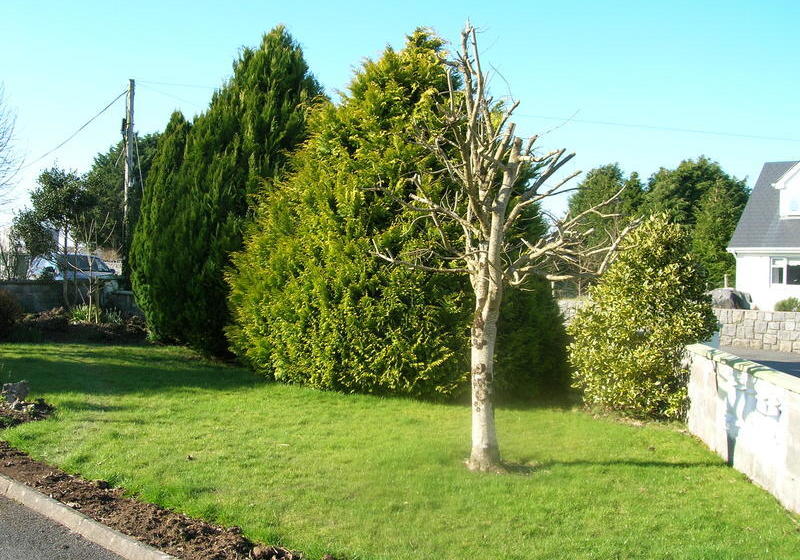 Fotos del hotel Clareville B&b:  6