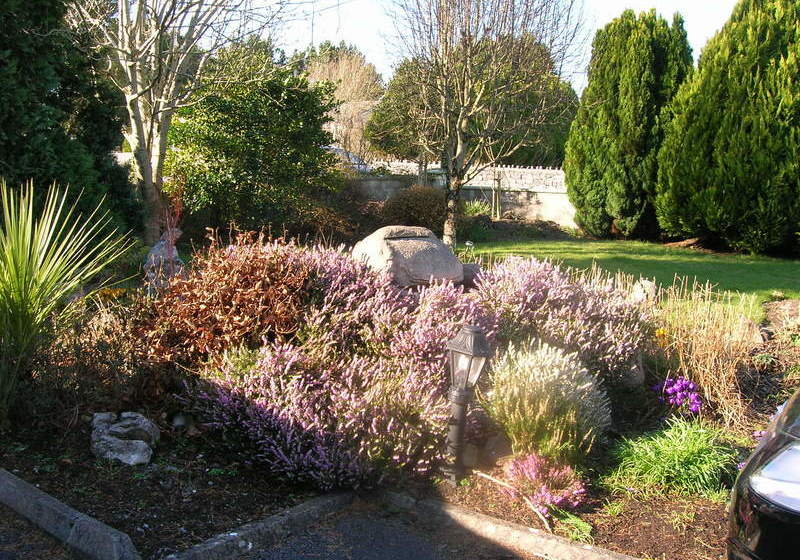 Fotos del hotel Clareville B&b:  8