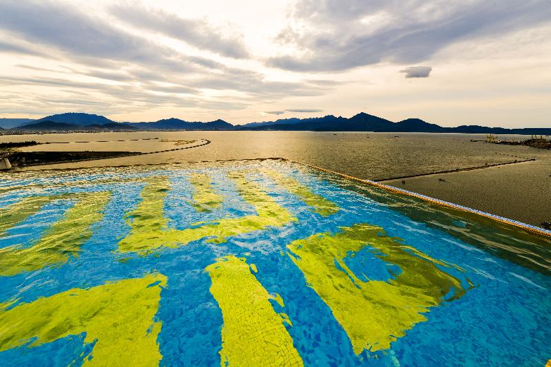 Fotos del hotel Danang Golden Bay:  25