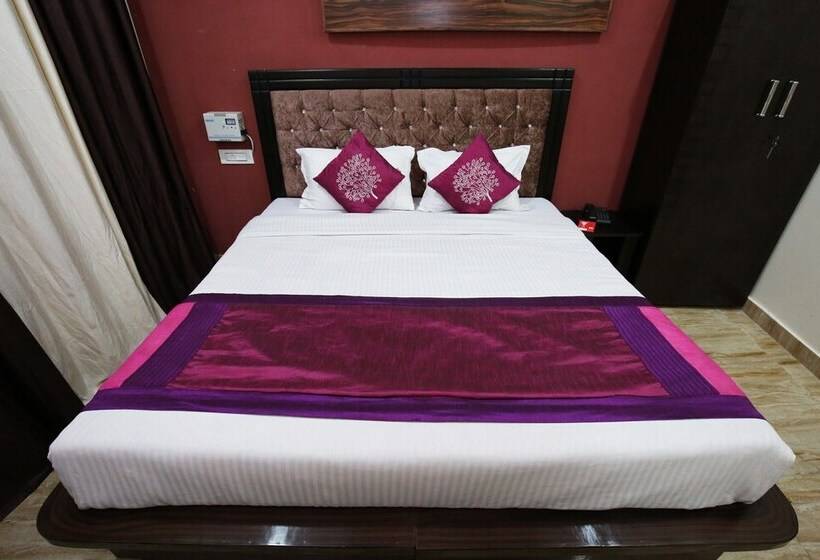 Fotos del hotel Oyo 9254 The Platinum:  9