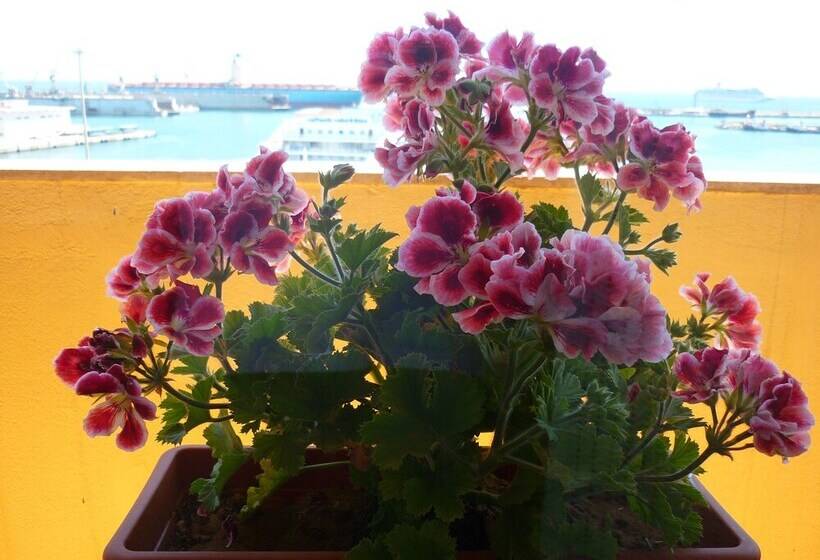 Fotos del hotel B&b Vista Mare:  17