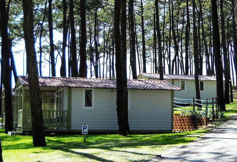 Fotos del hotel Parque De Campismo Orbitur Valado:  19