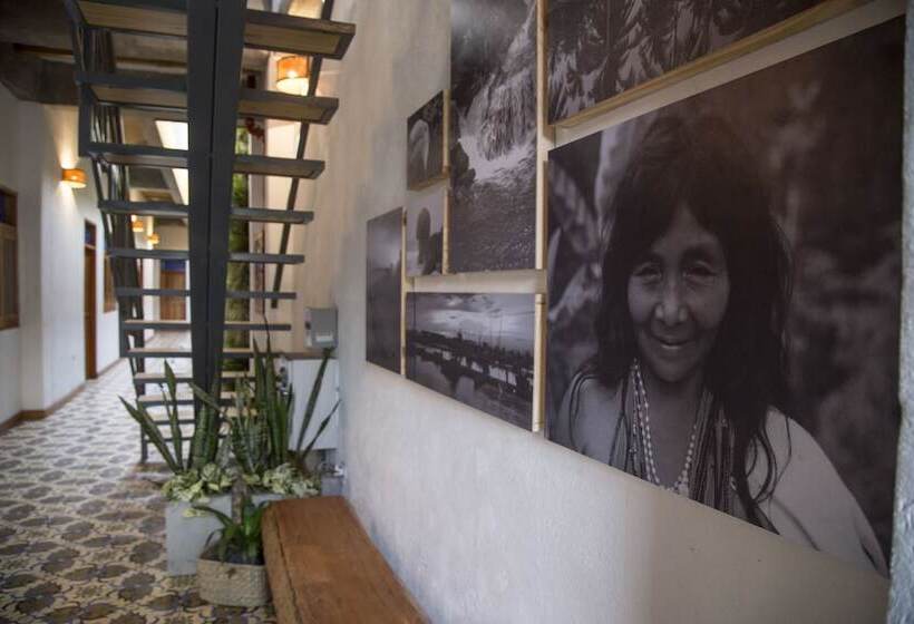 Fotos del hotel Boutique Casa Mia:  12