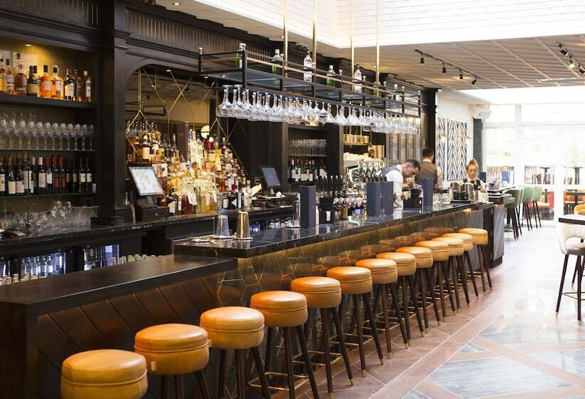 Fotos del hotel Iveagh Garden Hotel:  13