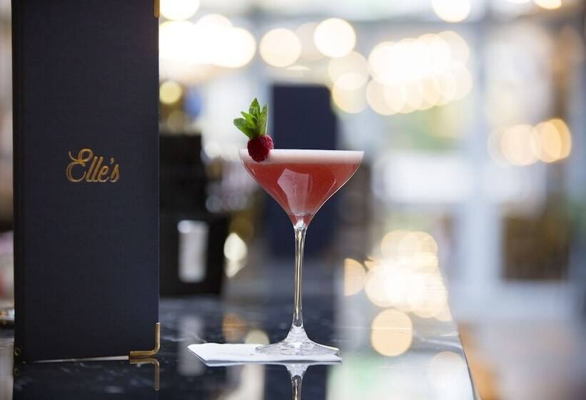 Fotos del hotel Iveagh Garden Hotel:  25