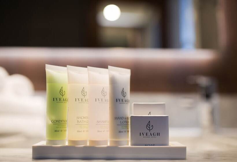 Fotos del hotel Iveagh Garden Hotel:  6