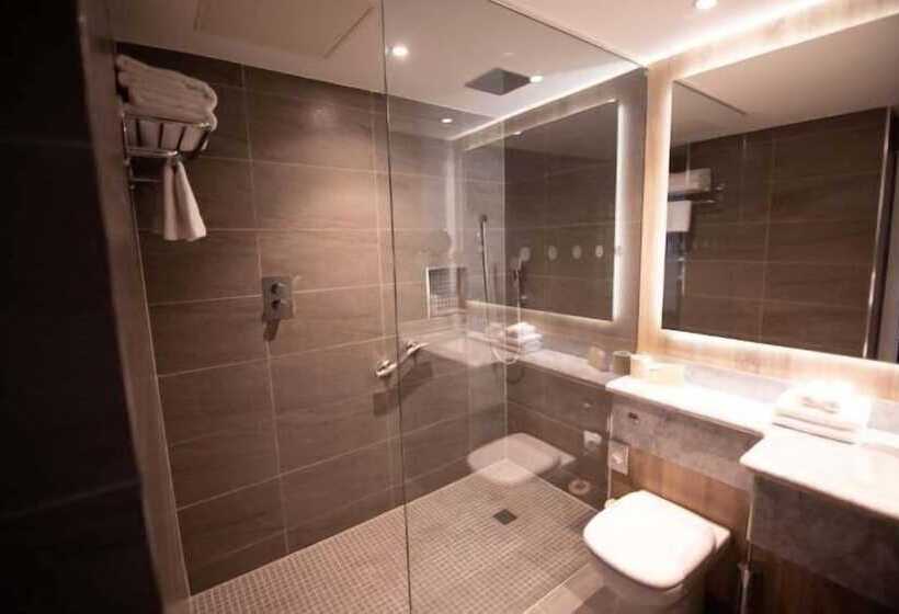 Fotos del hotel Iveagh Garden Hotel:  18