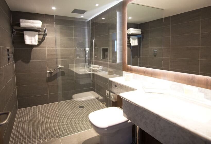 Fotos del hotel Iveagh Garden Hotel:  4