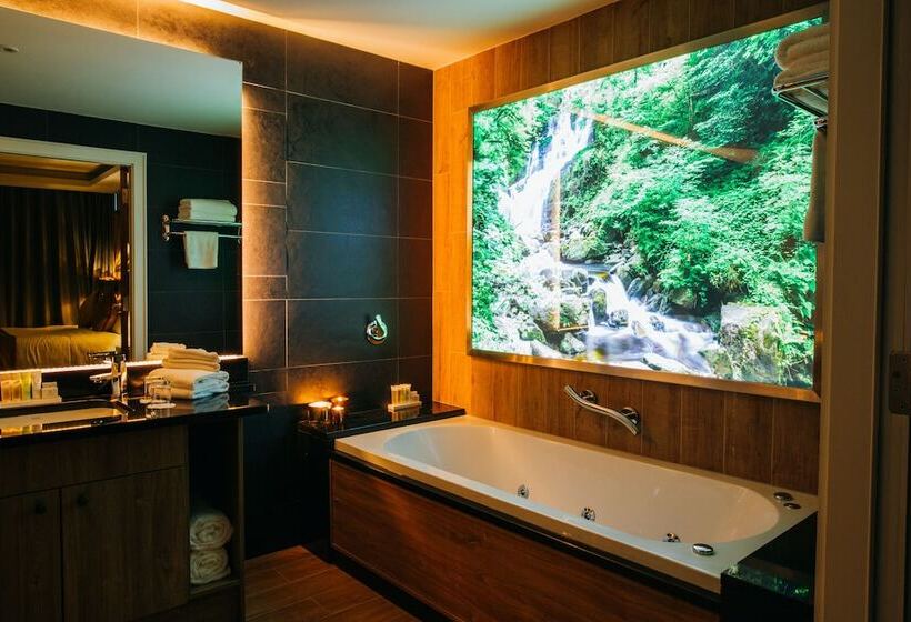 Fotos del hotel Iveagh Garden Hotel:  22